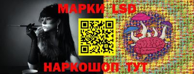 стафф Новокубанск