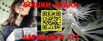 стафф Новокубанск