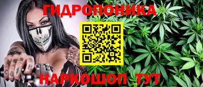 кокс Новодвинск