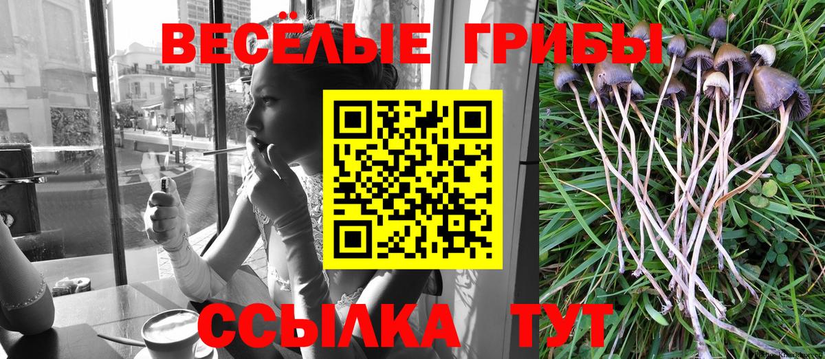 где купить   Вход с VPN  Черкесск  Галлюциногенные грибы MAGIC MUSHROOMS 